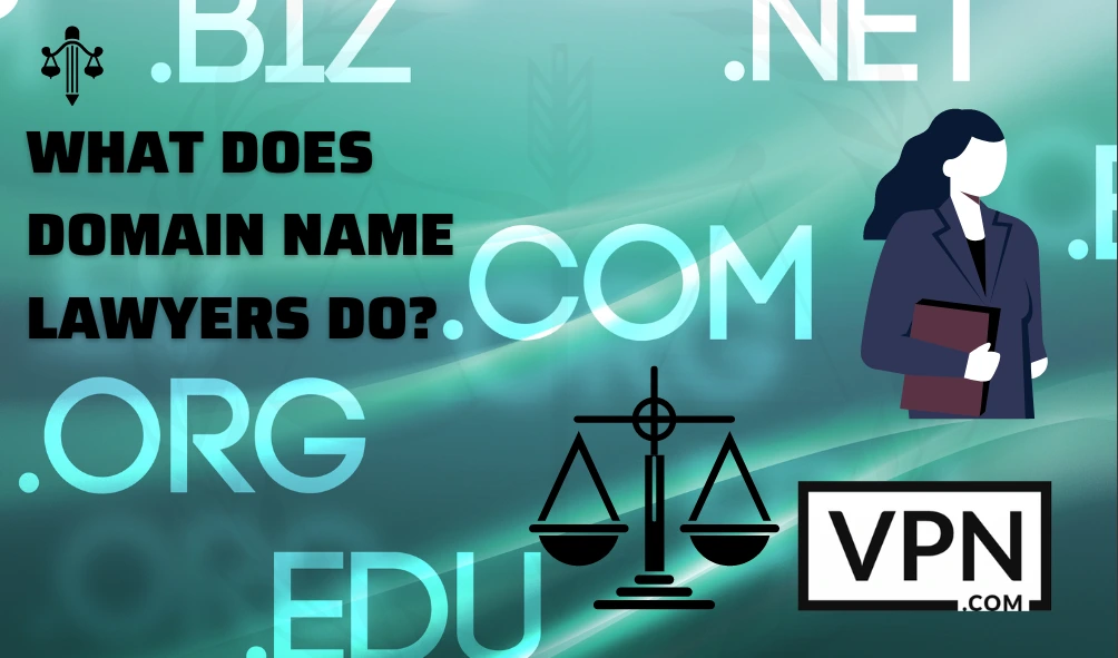 What does domain name lawyers do?