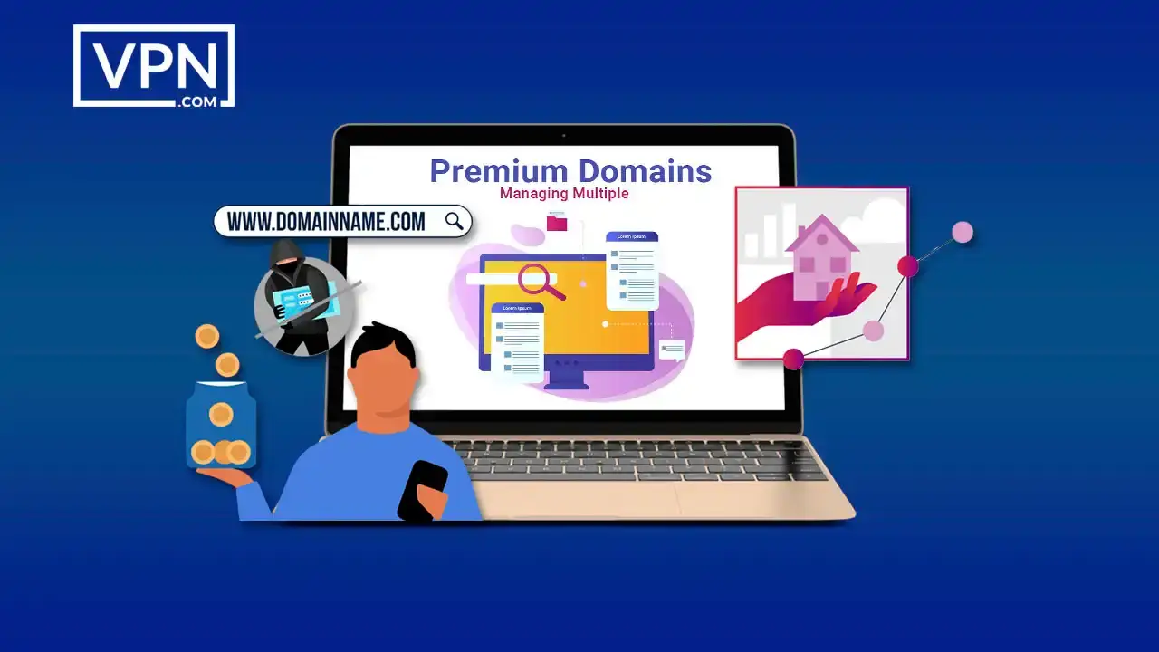 Managing Multiple Premium Domains Efficient strategies for managing multiple premium domains