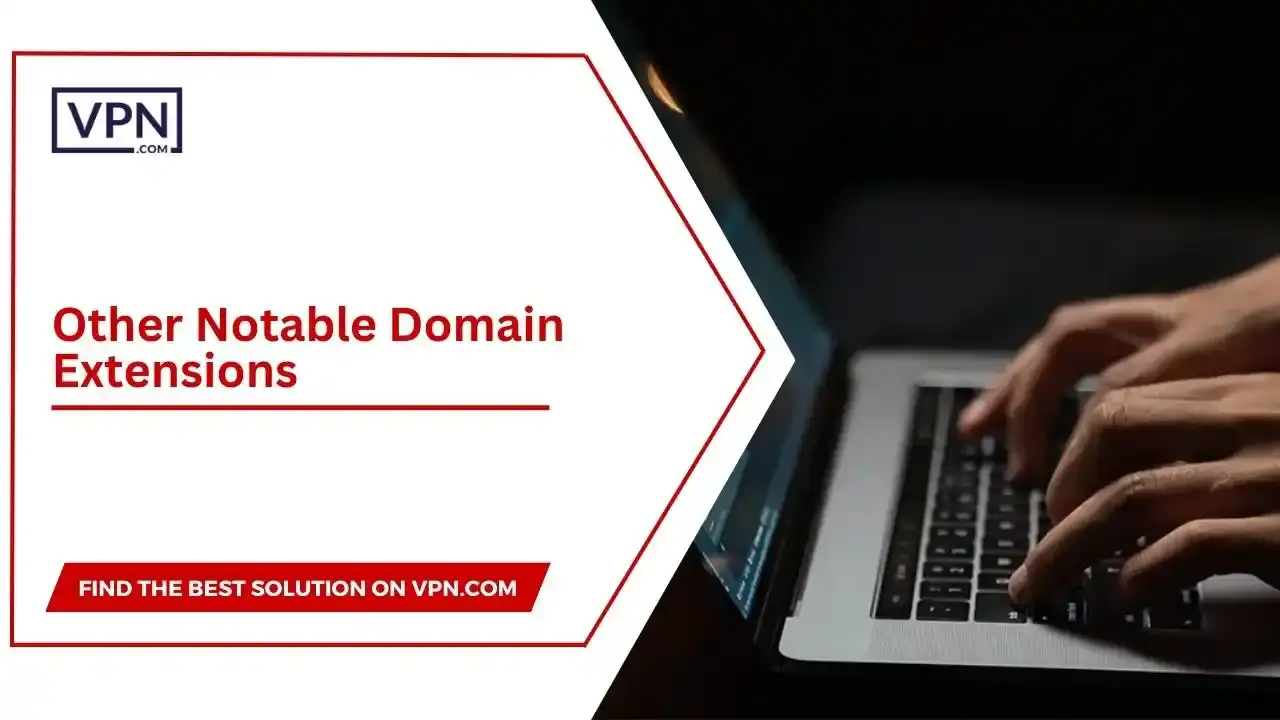 Other Notable Domain Extensions the text in the image shows Other Notable Domain Extensions