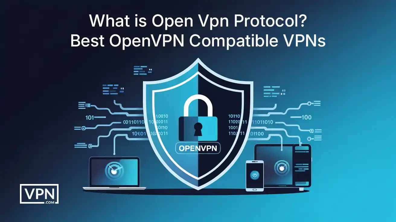 Overview of VPN for OpenVPN protocol and devices it protects across platforms