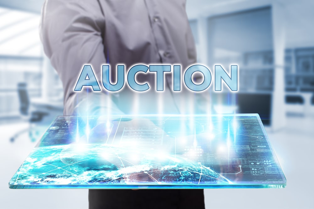 Graphic representing a domain auction