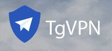 VPN Vendor Logo