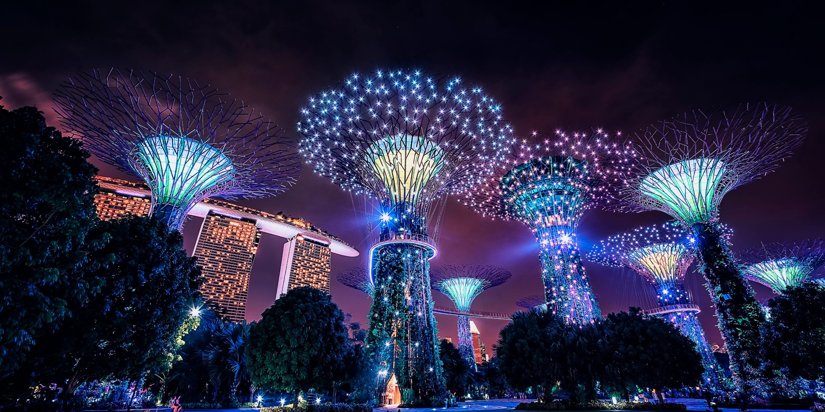 Lichterketten an einem Baum in Singapur
